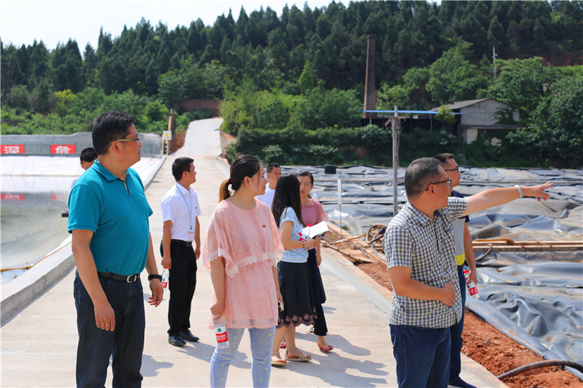 集團(tuán)第一檢查組檢查杰陽(yáng)排水公司、固廢處置公司安全防汛和環(huán)保達(dá)標(biāo)各項(xiàng)工作3_副本